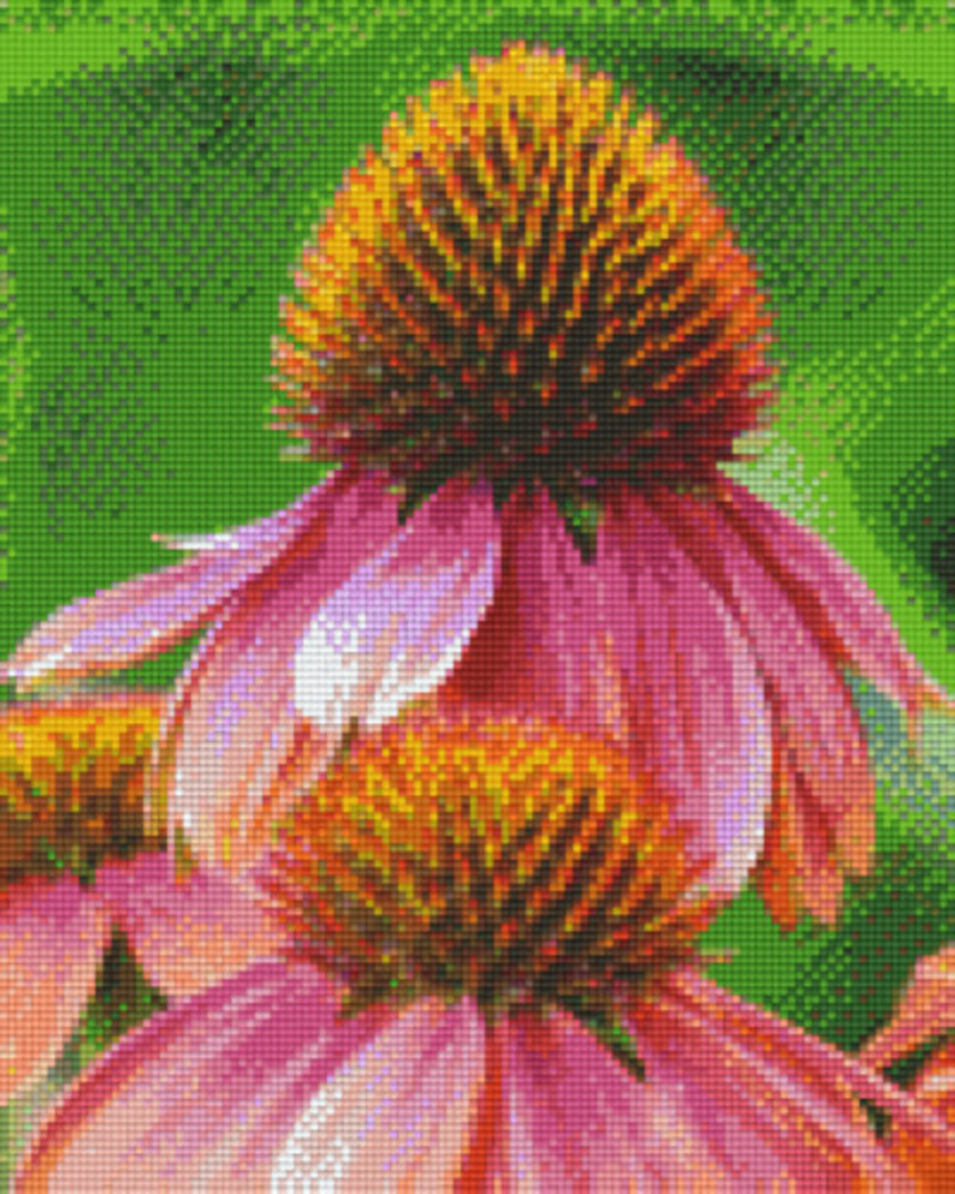 Red Daisies Nine [9] Baseplates PixelHobby Mini- mosaic Art Kit image 0